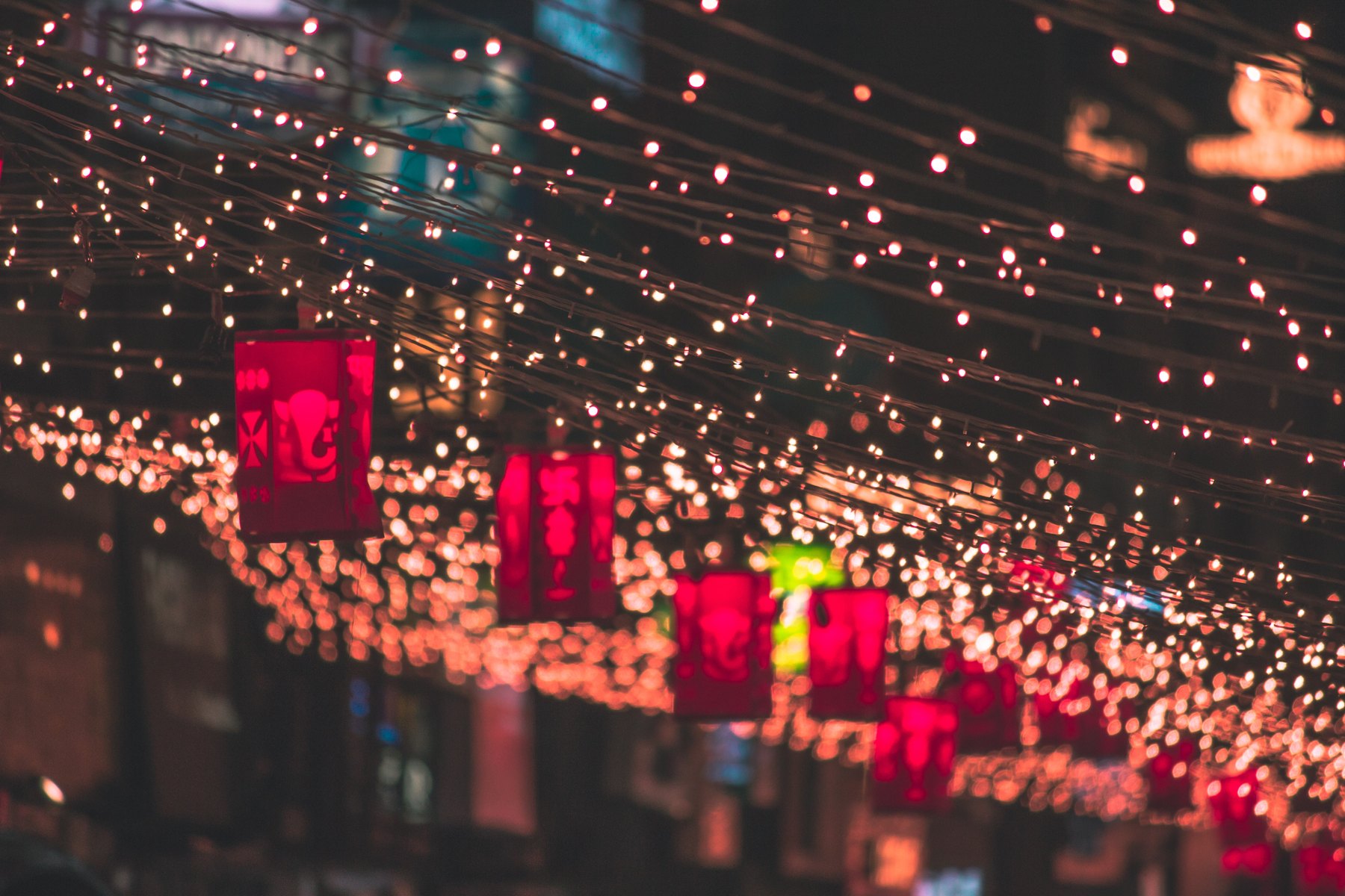 Diwali, Festival of Lights | Palace Foods